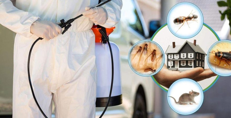 İnciraltı Böcek İlaçlama