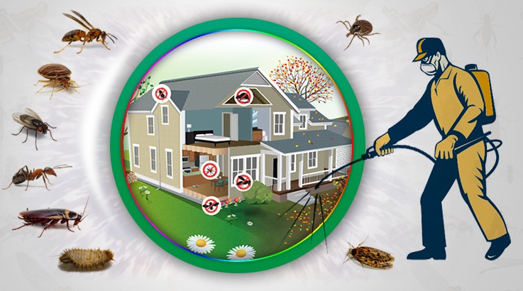 İnciraltı Böcek İlaçlama