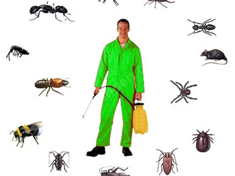 İnciraltı Böcek İlaçlama